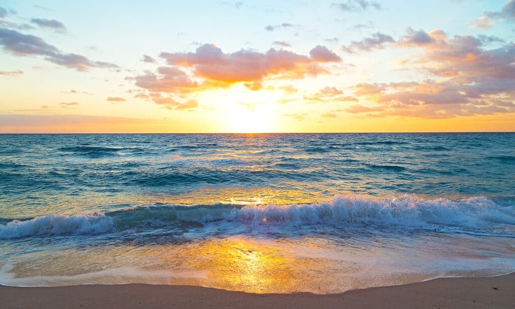 Home Care in Pine Ridge, FL by Naples Bay Home Care